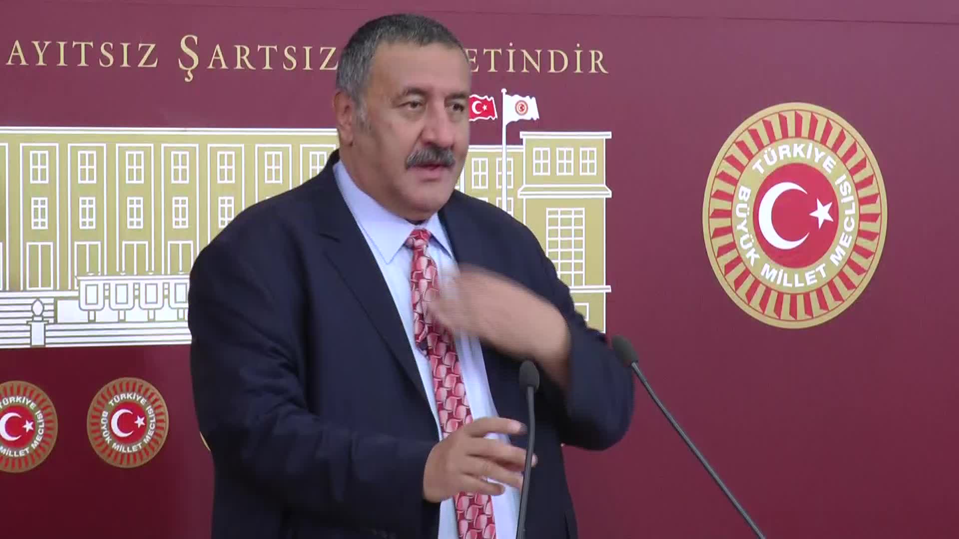 5 YILDA ORMANLAR 115 MİLYON METREKÜP ODUN OLDU