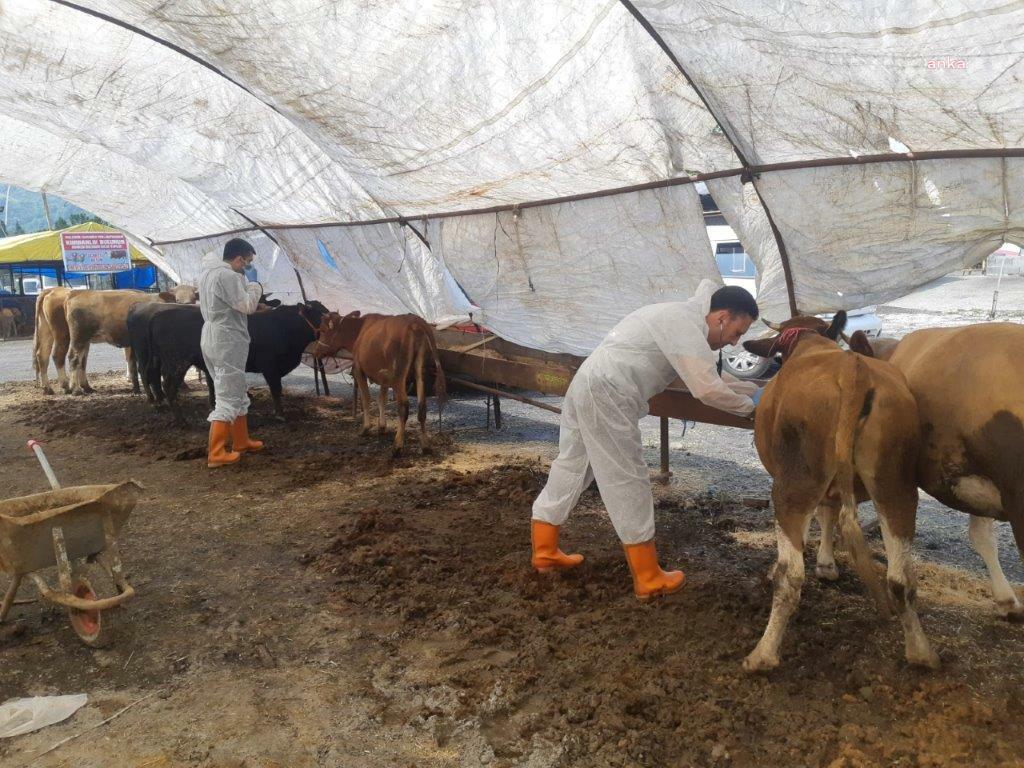KDZ. EREĞLİ BELEDİYESİ'NDEN KURBAN PAZARINDA DENETİM