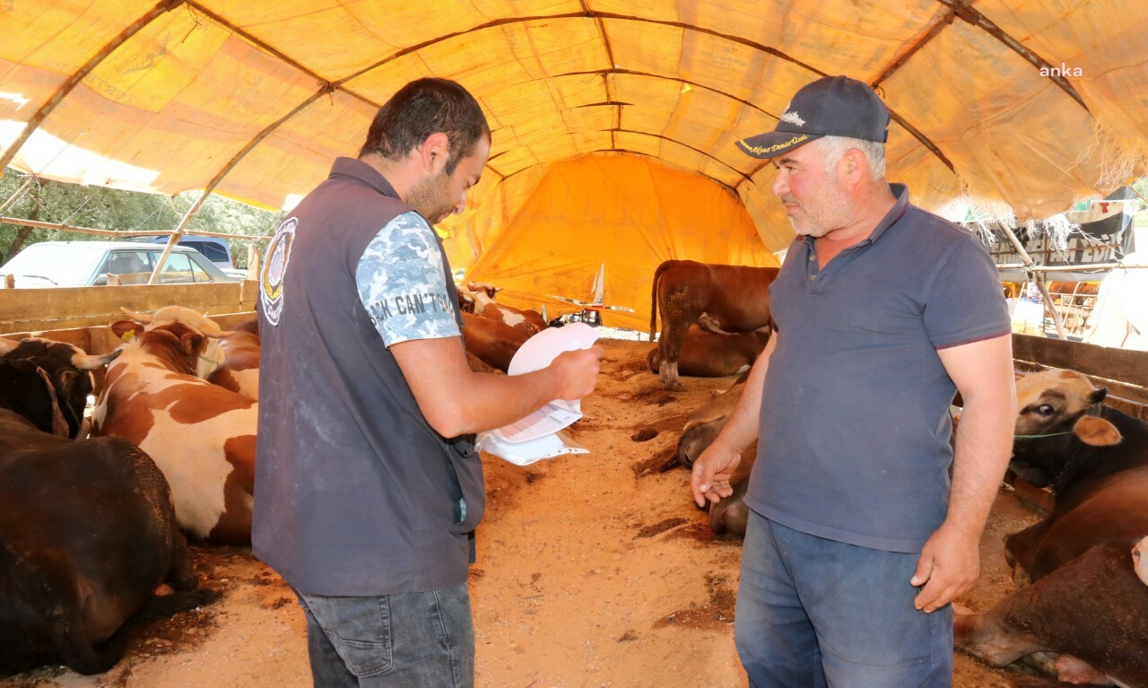 ÇANKAYA BELEDİYESİ, KURBAN BAYRAMI HAZIRLIKLARINI TAMAMLADI