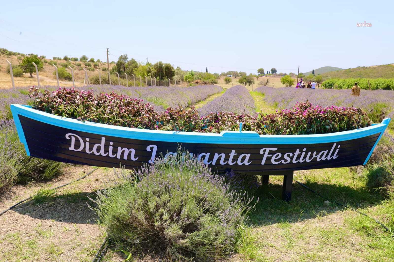 DİDİM, LAVANTA FESTİVALİ İÇİN GÜN SAYIYOR