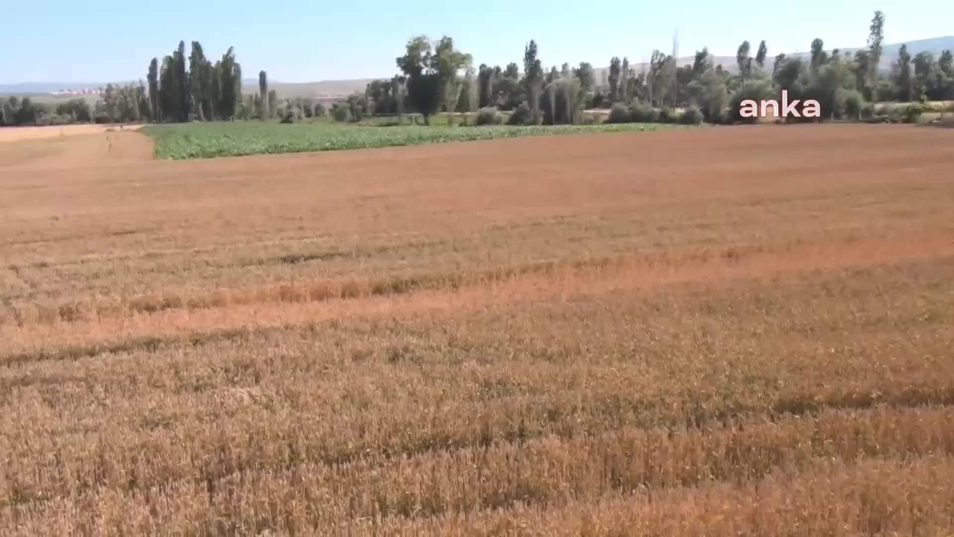 ÇORUM'DA KABLO HIRSIZLARI ÇİFTÇİLERİ CANINDAN BEZDİRDİ: "DALGIÇLARIN BAŞINA KORKARAK GELİYORUZ"