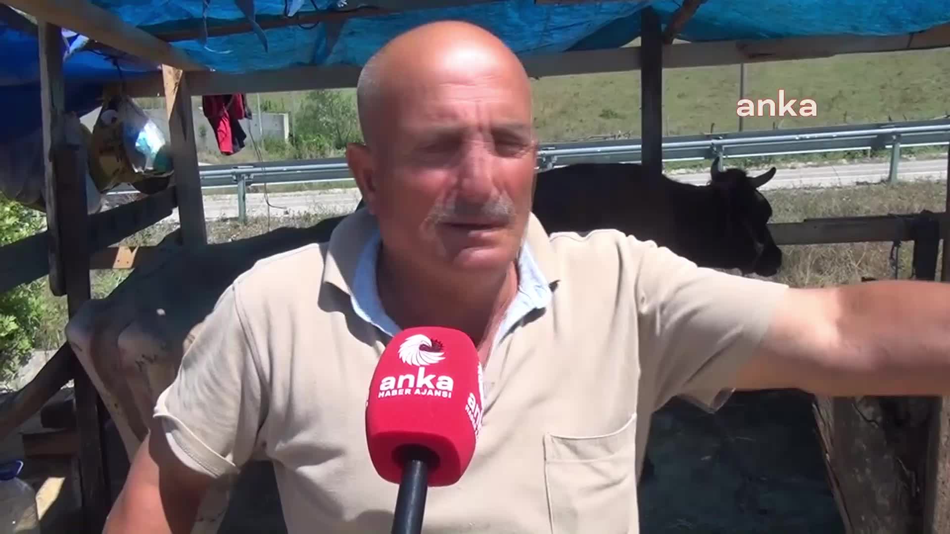 KURBAN PAZARI'NDA SATIŞ YAPAN SİNOPLU BESİCİ:  "2 GÜNDÜR BURADAYIM, BİR ALLAH'IN KULU GELMEDİ, MÜŞTERİ YOK"