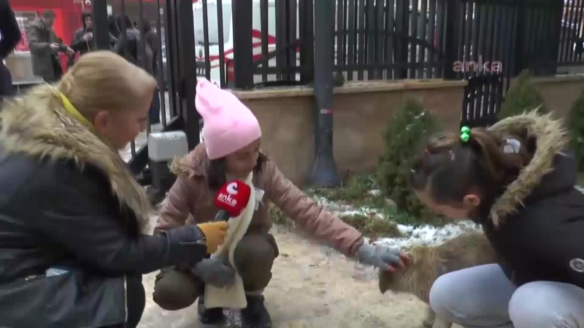 ANKA’NIN ACI GÜNÜ… ARKADAŞIMIZ MEHTAP BELEN’İ KAYBETTİK