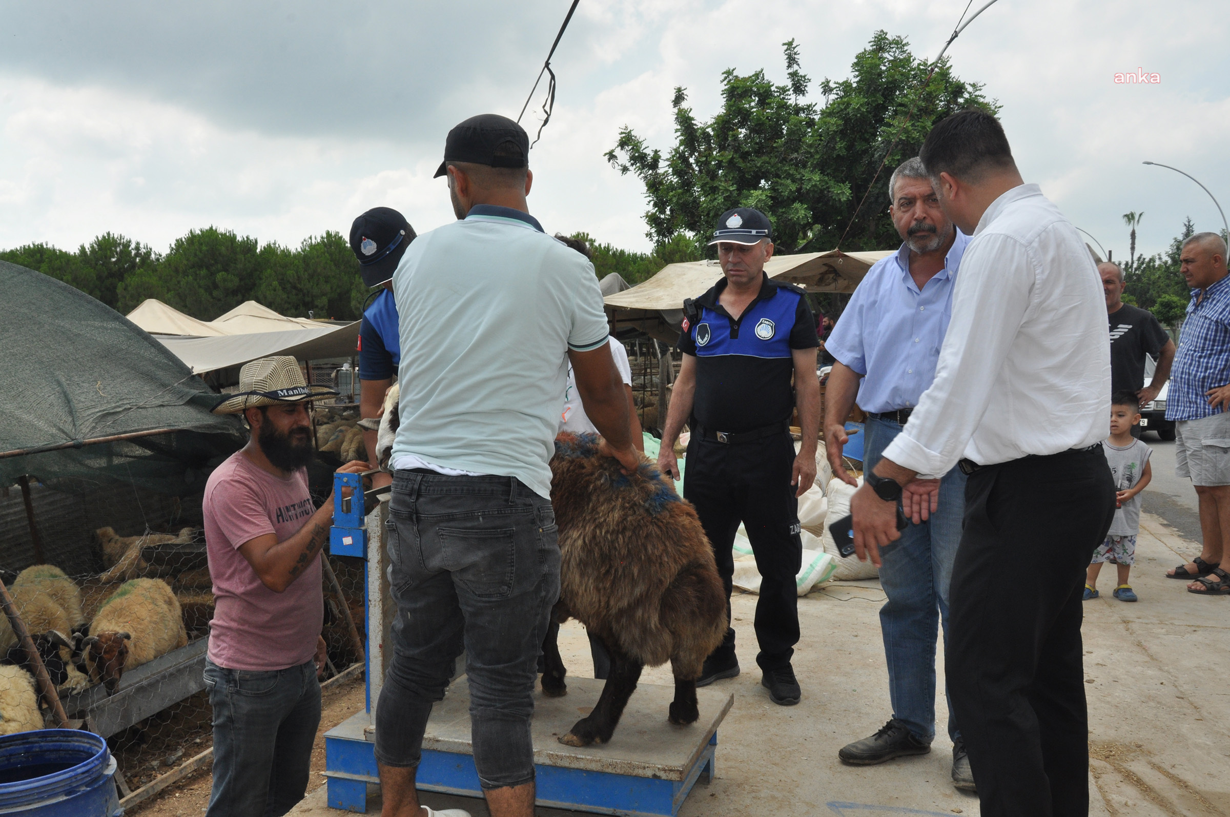 TARSUS BELEDİYESİ’NDEN KURBAN SATIŞ YERLERİNE DENETİM