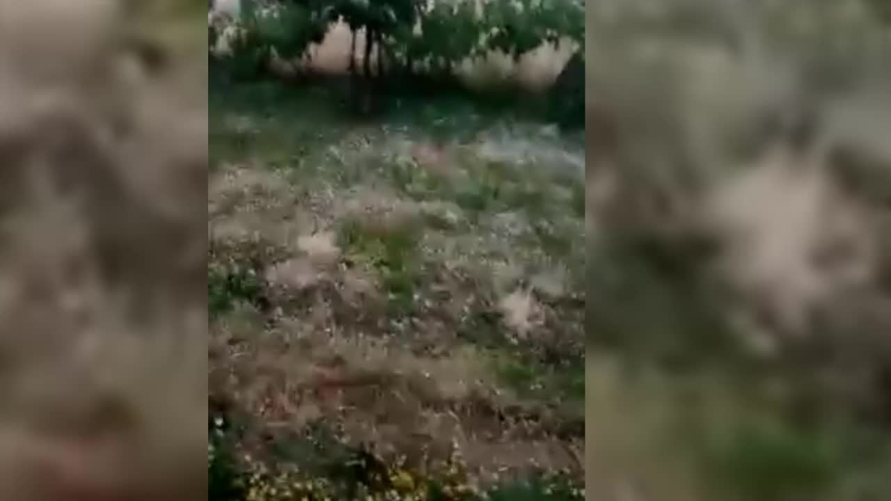 NALLIHAN’DA SAĞANAK YAĞIŞ SELE NEDEN OLDU