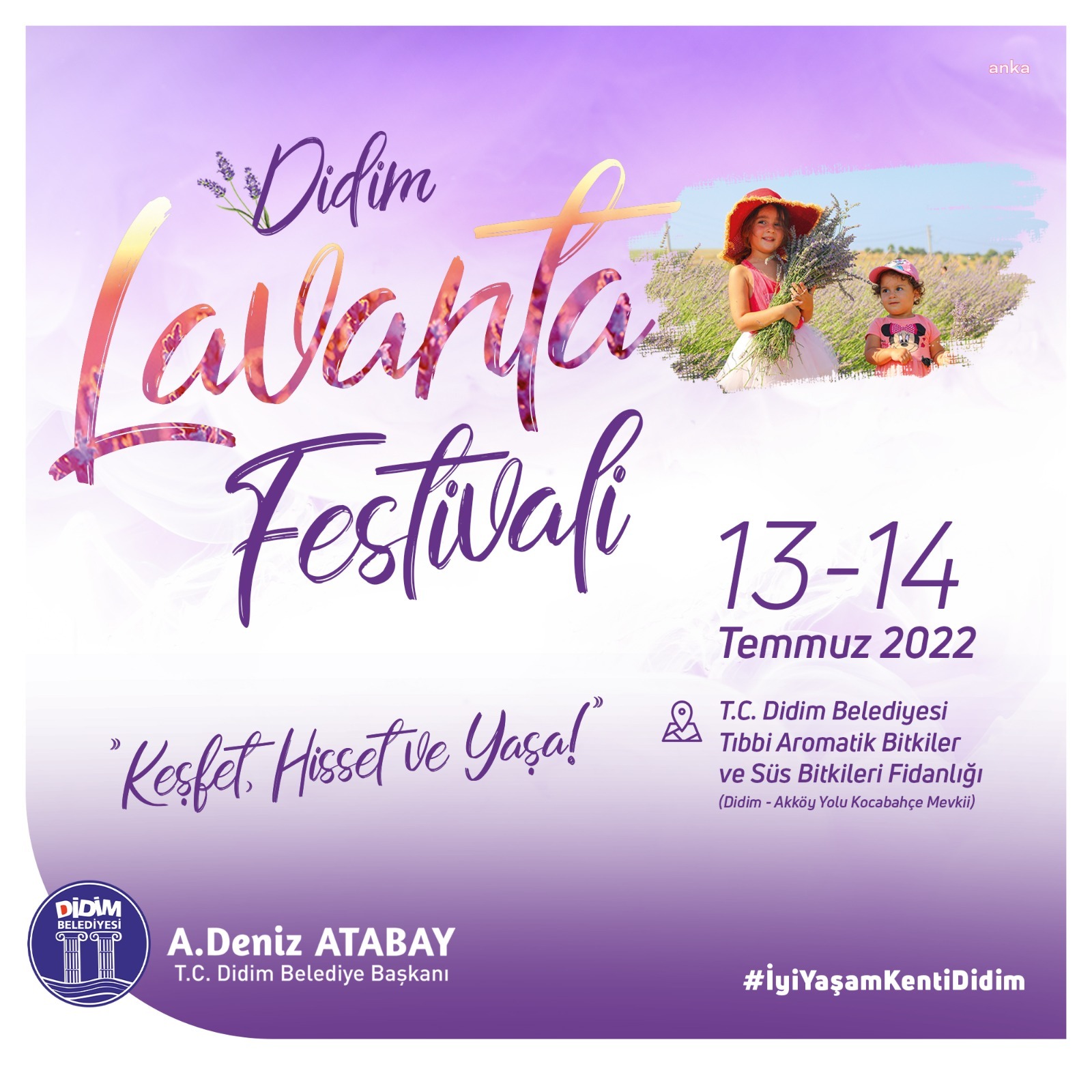 DİDİM LAVANTA FESTİVALİ YARIN BAŞLIYOR