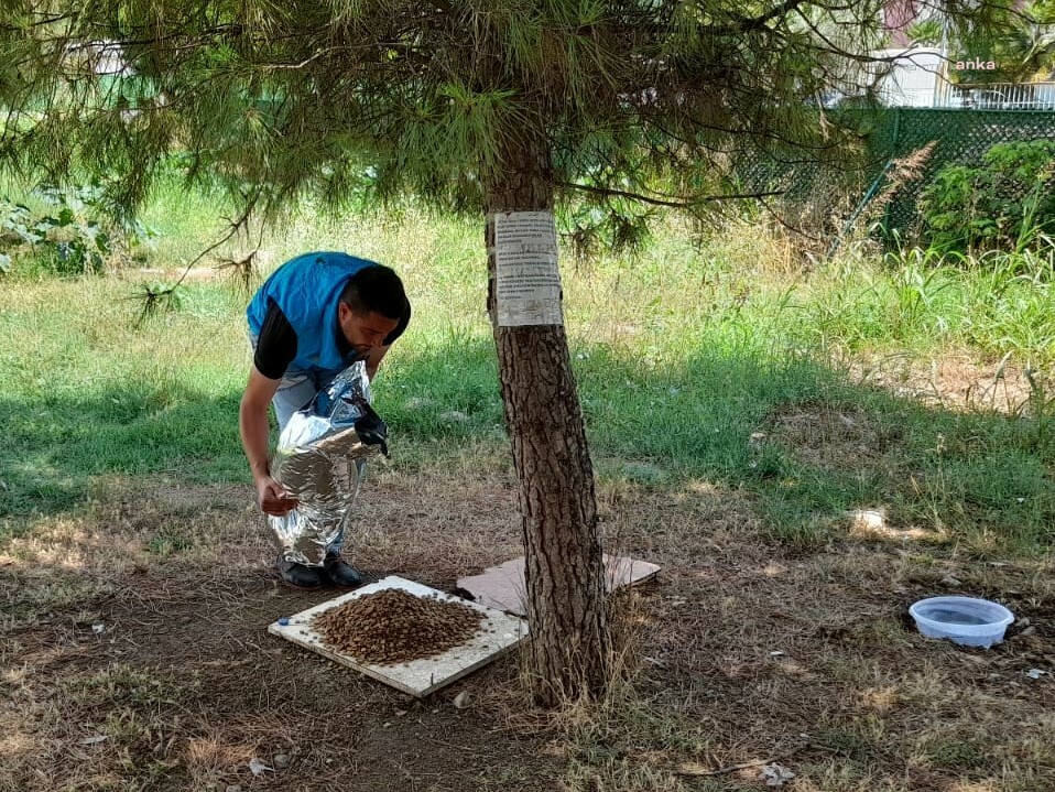 İZMİT BELEDİYESİ, BAYRAMDA SOKAKTAKİ CANLARI UNUTMADI