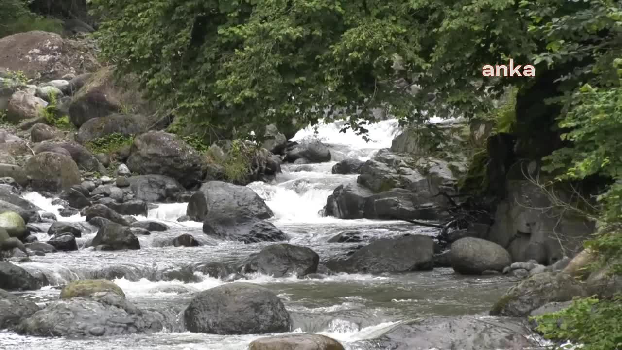 PİLARGET VADİSİ'NİN HALKI, HES'E KARŞI YÜRÜTTÜĞÜ HUKUK MÜCADELESİNİ İKİNCİ KEZ KAZANDI