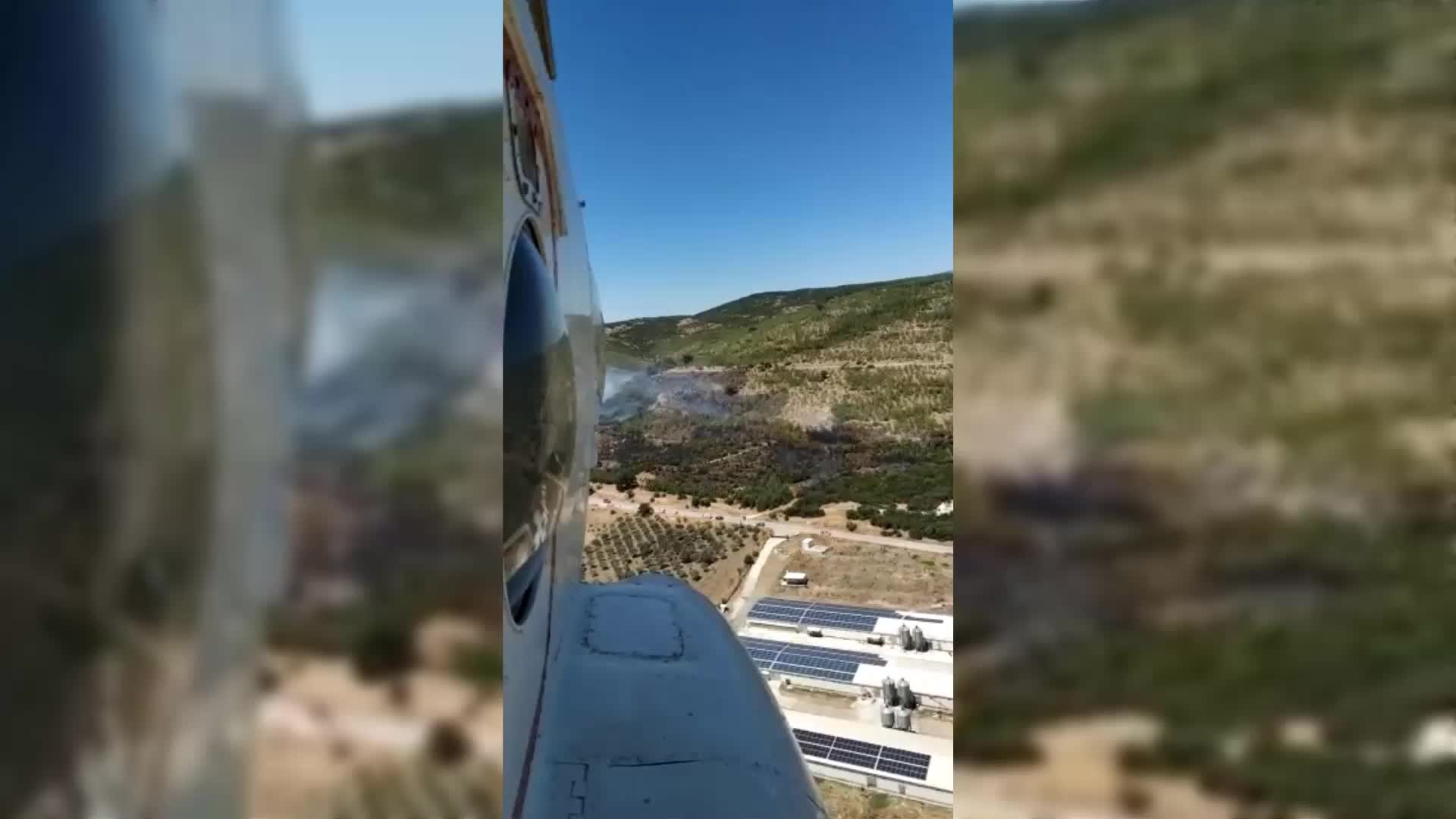 ALİAĞA'DA AĞAÇLANDIRMA SAHASINDA YANGIN