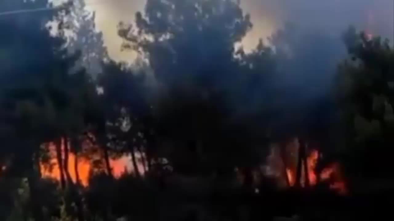 GAZİEMİR SARNIÇ'TA ORMAN YANGINI