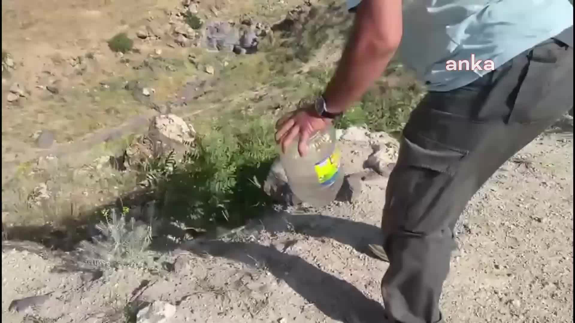 IĞDIR’DA BİR İŞ YERİNE GİREN ENGEREK YILANI YAKALANDI