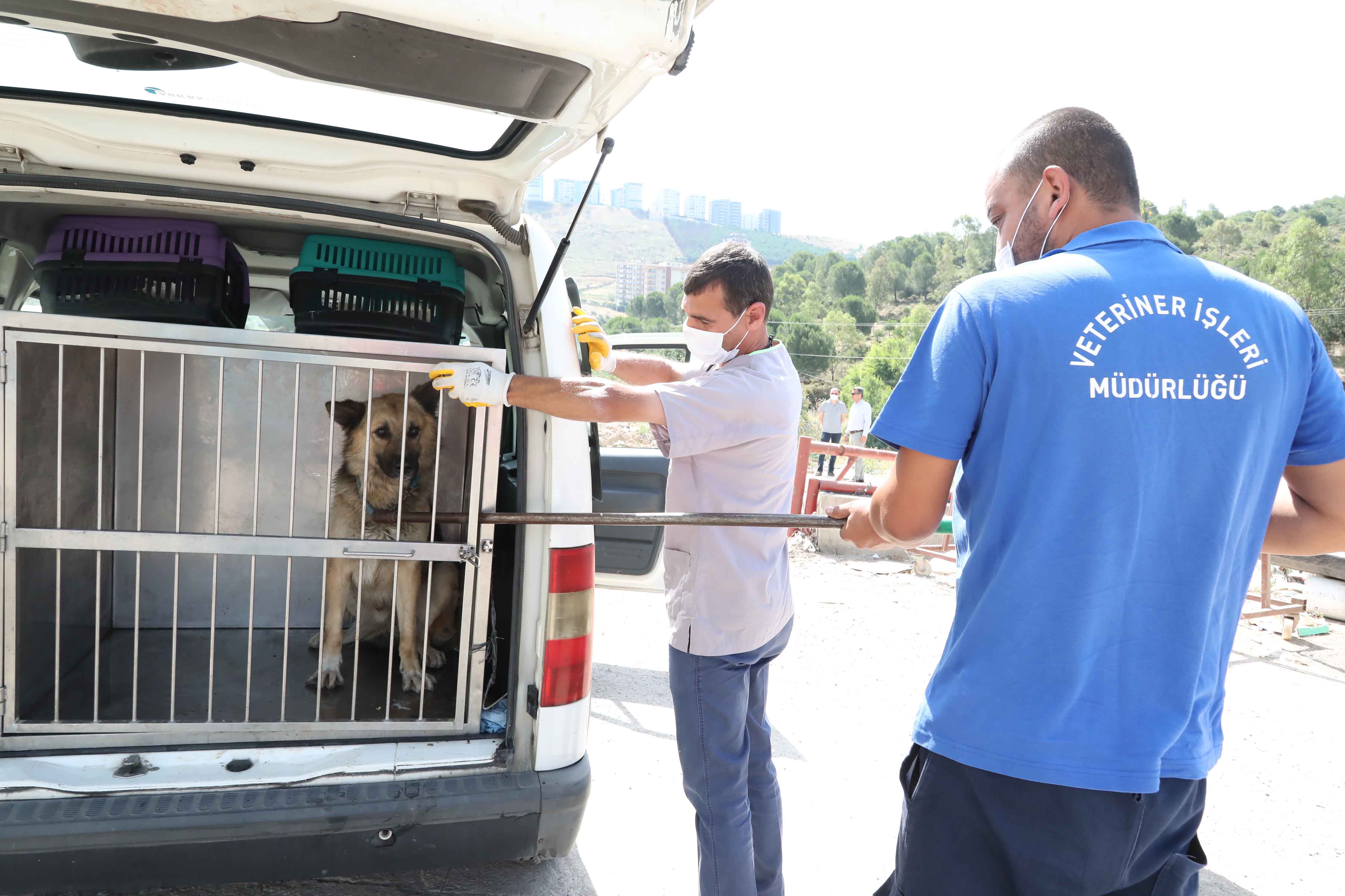BAYRAKLI, KARŞIYAKA VE HAYTAP'TAN ORTAK ÇALIŞMA