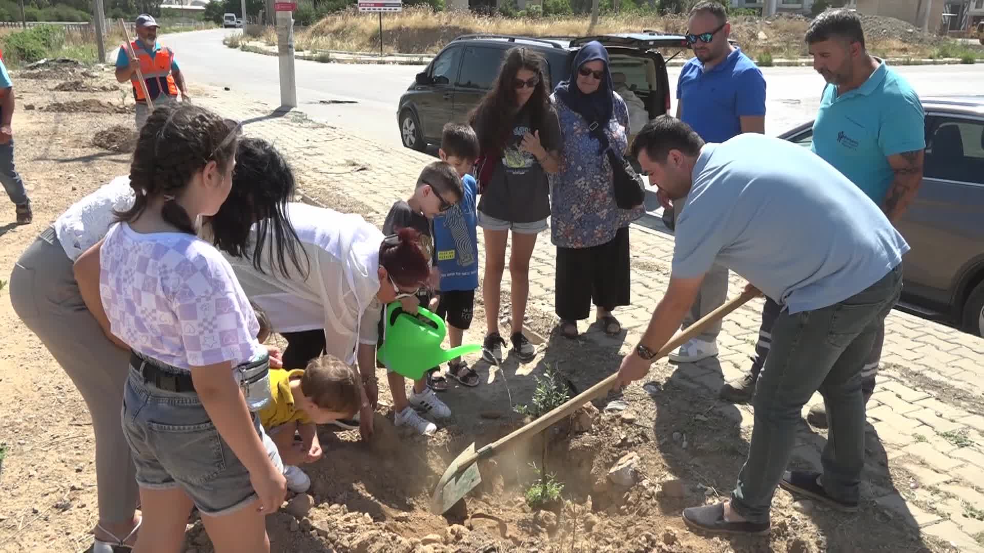 BABALARININ ADINI ZEYTİN AĞAÇLARIYLA YAŞATACAKLAR