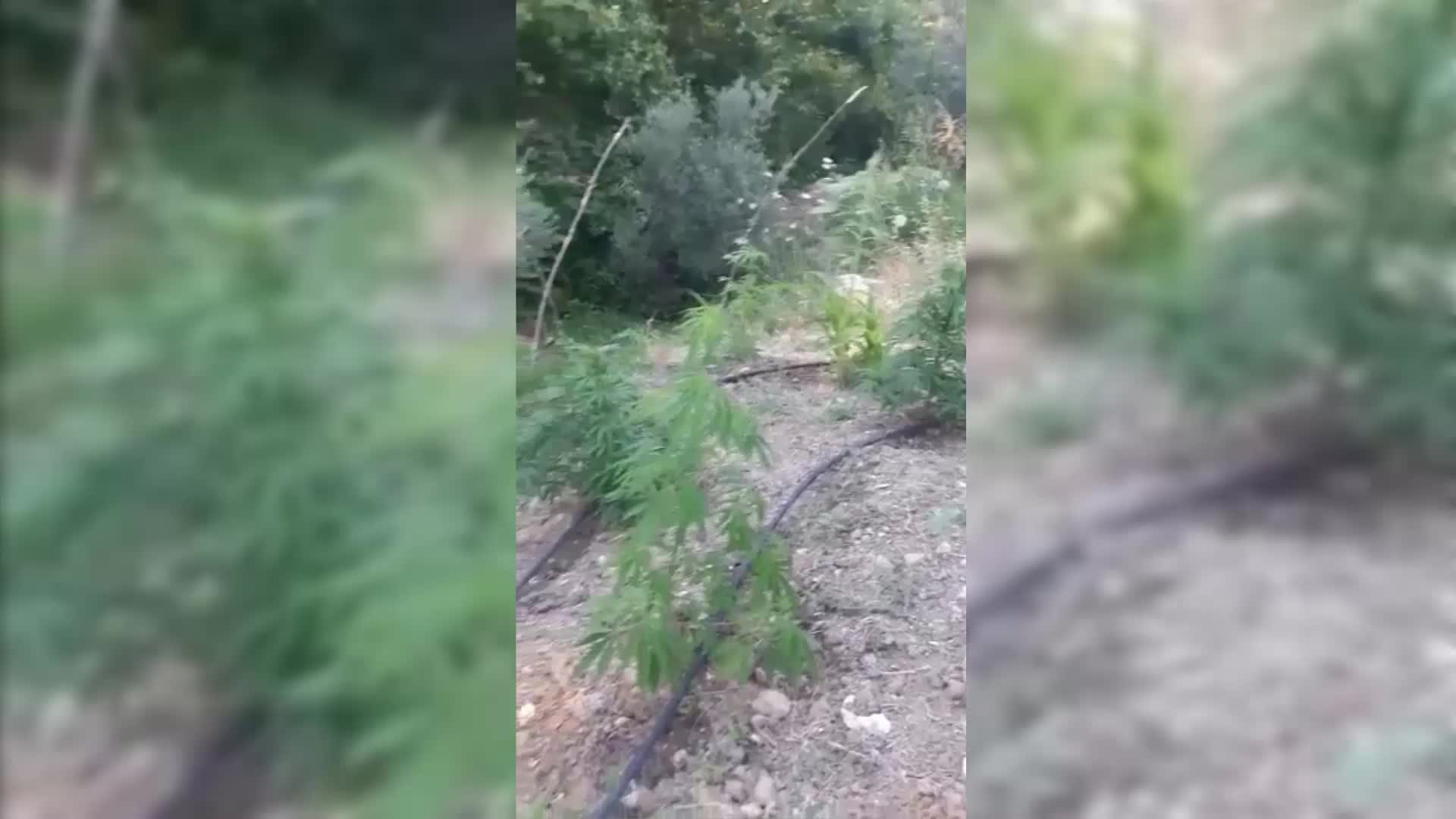 İZMİR’İN 5 İLÇESİNDE UYUŞTURUCU BASKINI