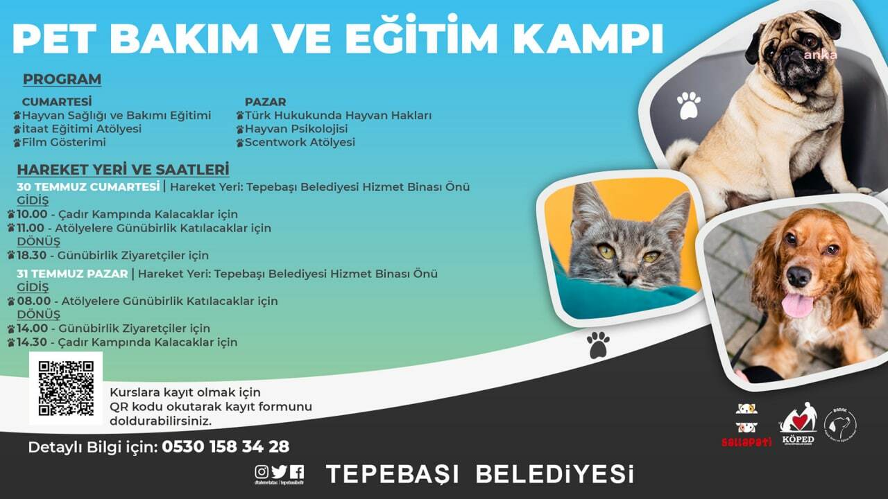TEPEBAŞI BELEDİYESİ'NDEN PET EĞİTİMİ VE BAKIM KAMPI