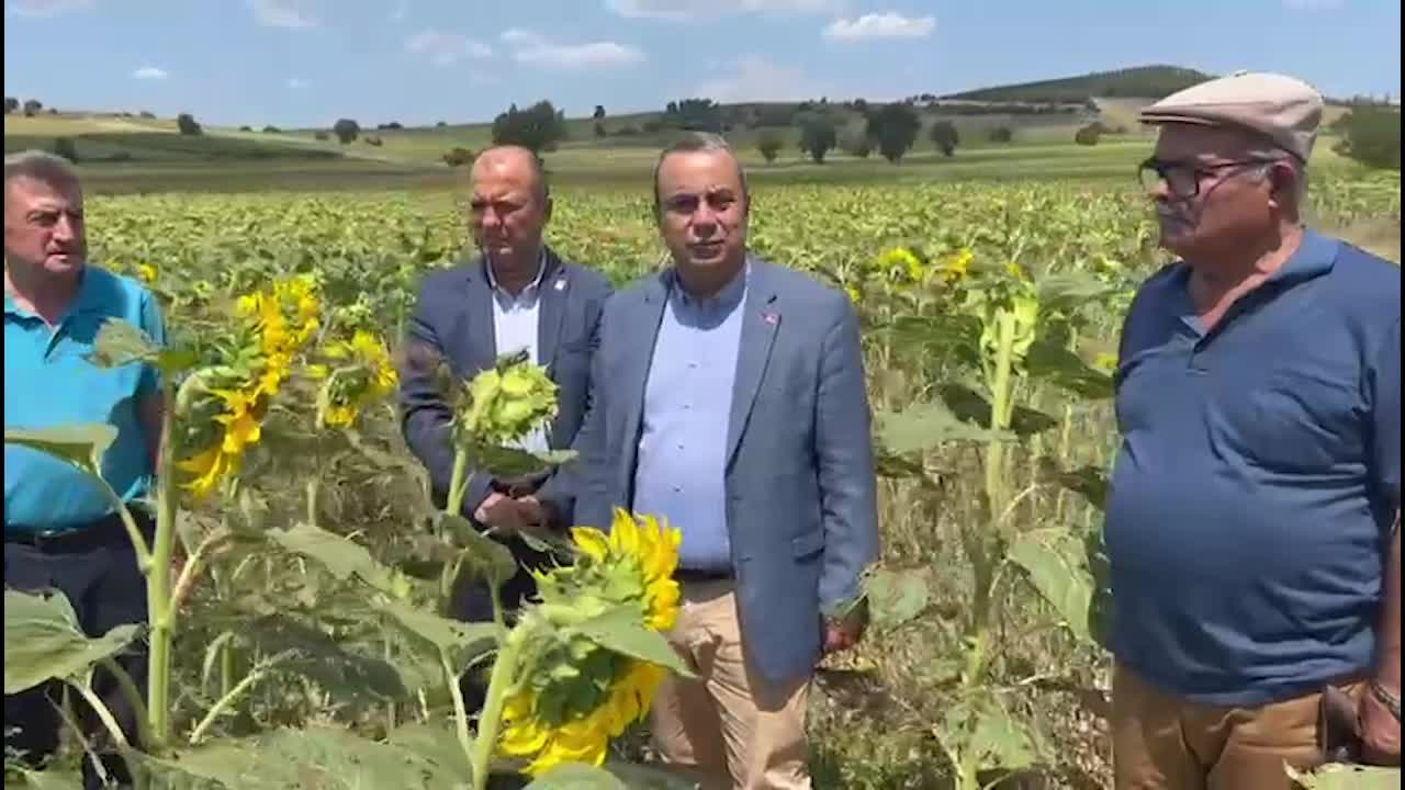 CHP’Lİ AYGUN, BURSA’DA ÇAYIR TIRTILI İSTİLASINA UĞRAYAN AYÇİÇEĞİ TARLASINDA: “VENEZUELA'DA TOPRAK KİRALAMA PEŞİNDESİNİZ. SEN ÖNCE BURSA YENİŞEHİRLİ ÇİFTÇİLERİNE SAHİP ÇIK”