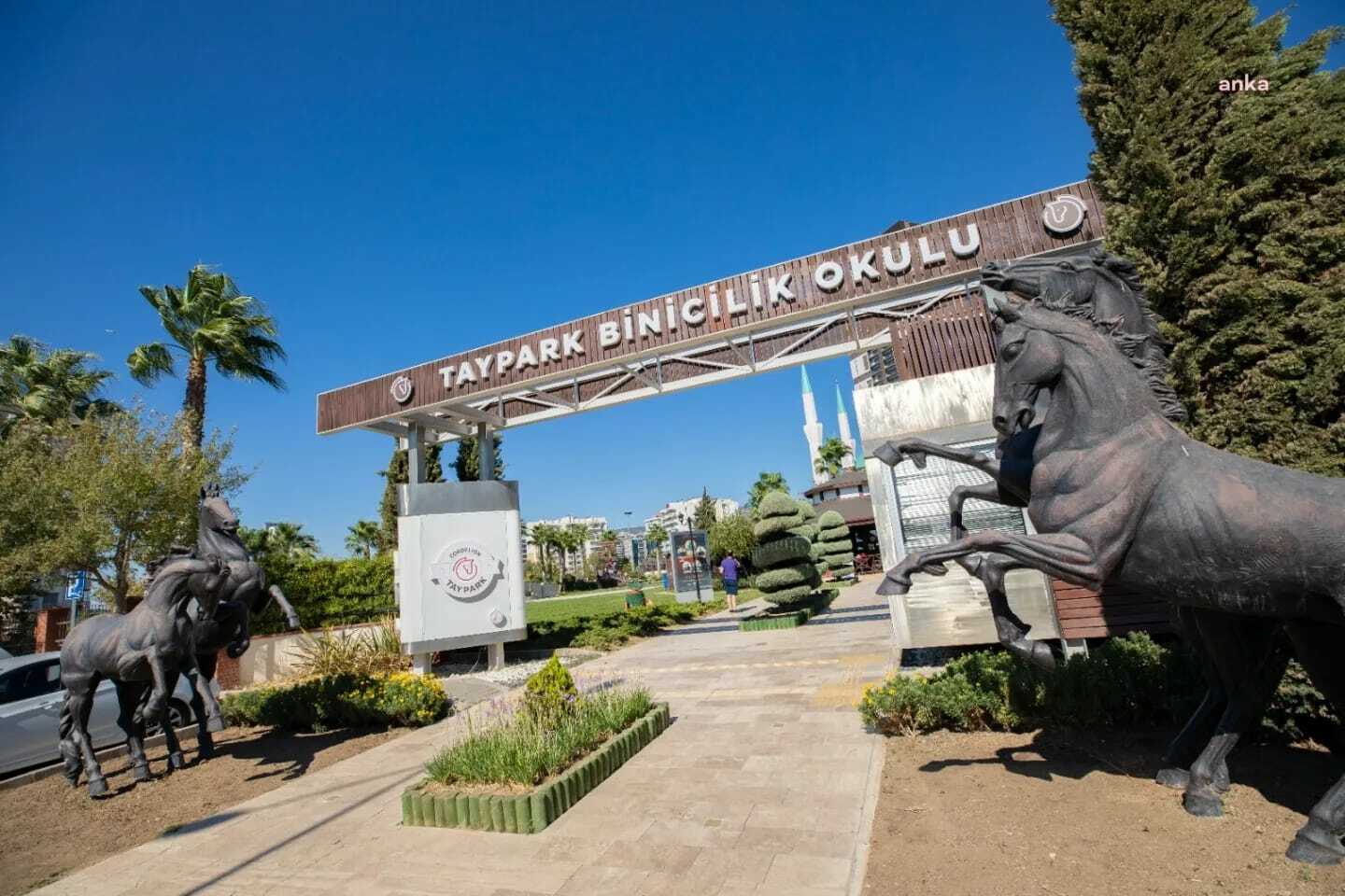 GELECEĞİN BİNİCİLERİ TAYPARK’TA YETİŞİYOR