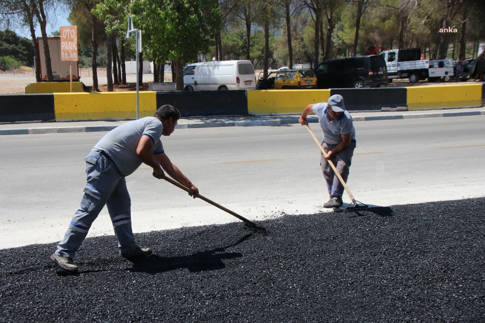 BODRUM BİTEZ’DE ÇALIŞMALAR TAMAMLANDI