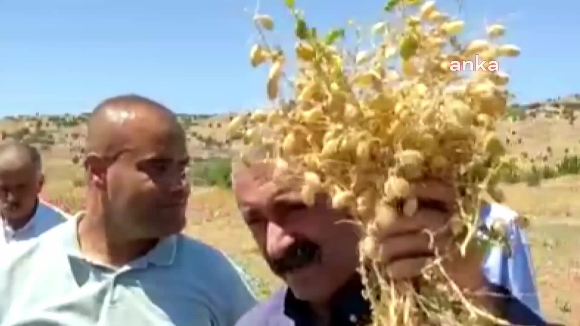 TUNCELİ BELEDİYE BAŞKANI FATİH MEHMET MAÇOĞLU: "HERKES TOPRAKLARINA SAHİP ÇIKSIN. BİZİ KURTARACAK OLAN KENDİ ELLERİMİZ"