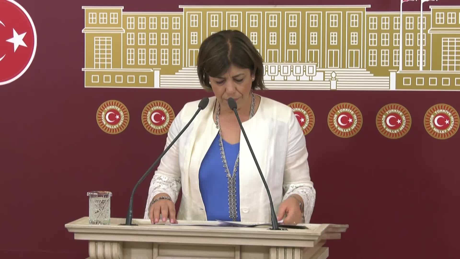 HDP’Lİ BEŞTAŞ: “SADECE BİR GENEL GÖRÜŞMEYLE SAĞLIKTA ŞİDDETE ÇÖZÜM BULUNAMAYACAĞINI HEPİMİZ BİLİYORUZ. ÖNERİMİZ PARLAMENTODA ORTAK BİR KOMİSYON KURULMASI”