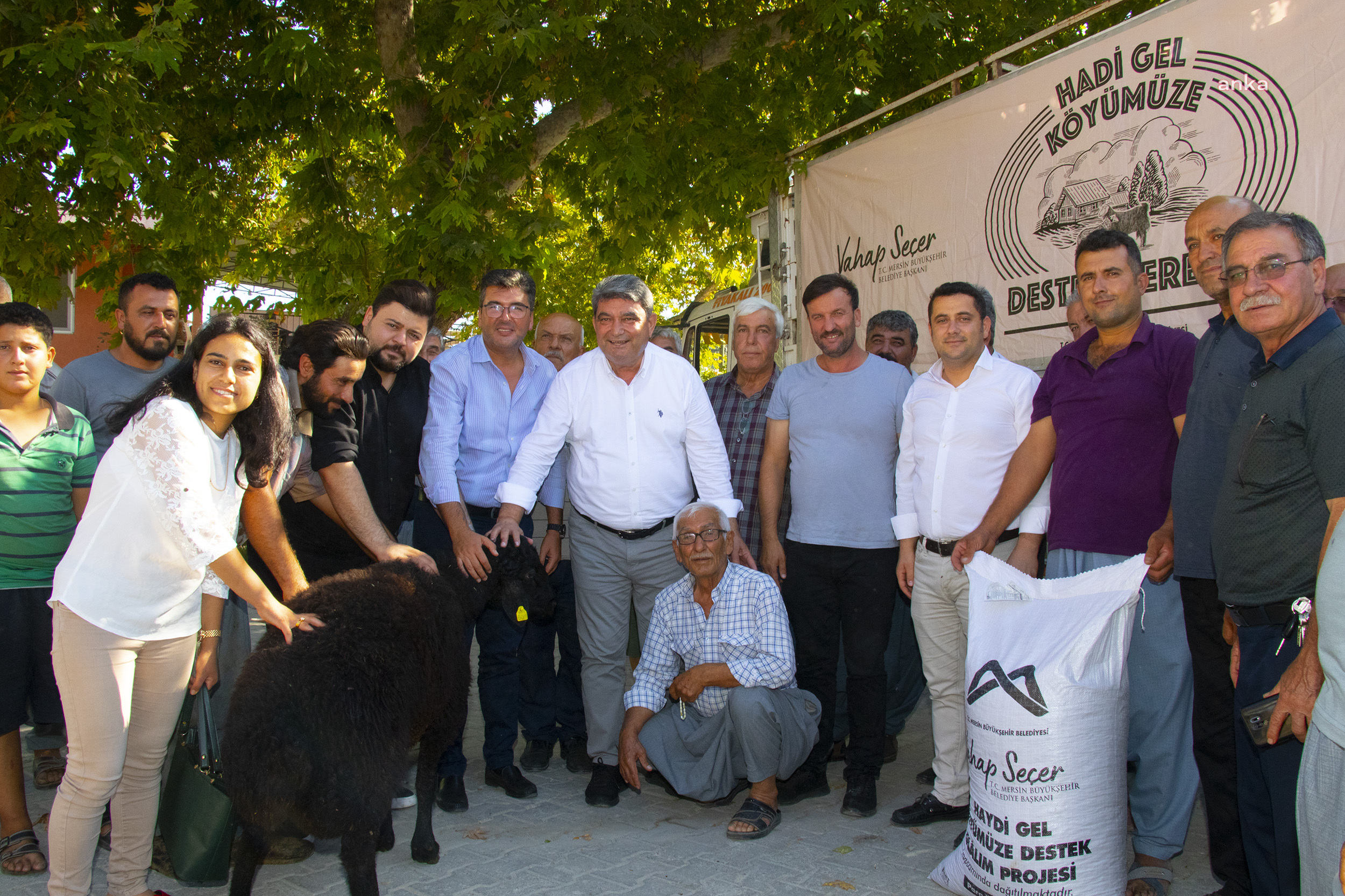 MERSİN BÜYÜKŞEHİR BELEDİYESİ, 13 ÜRETİCİYE TOPLAM 325 KÜÇÜKBAŞ HAYVAN DAĞITIMI YAPTI