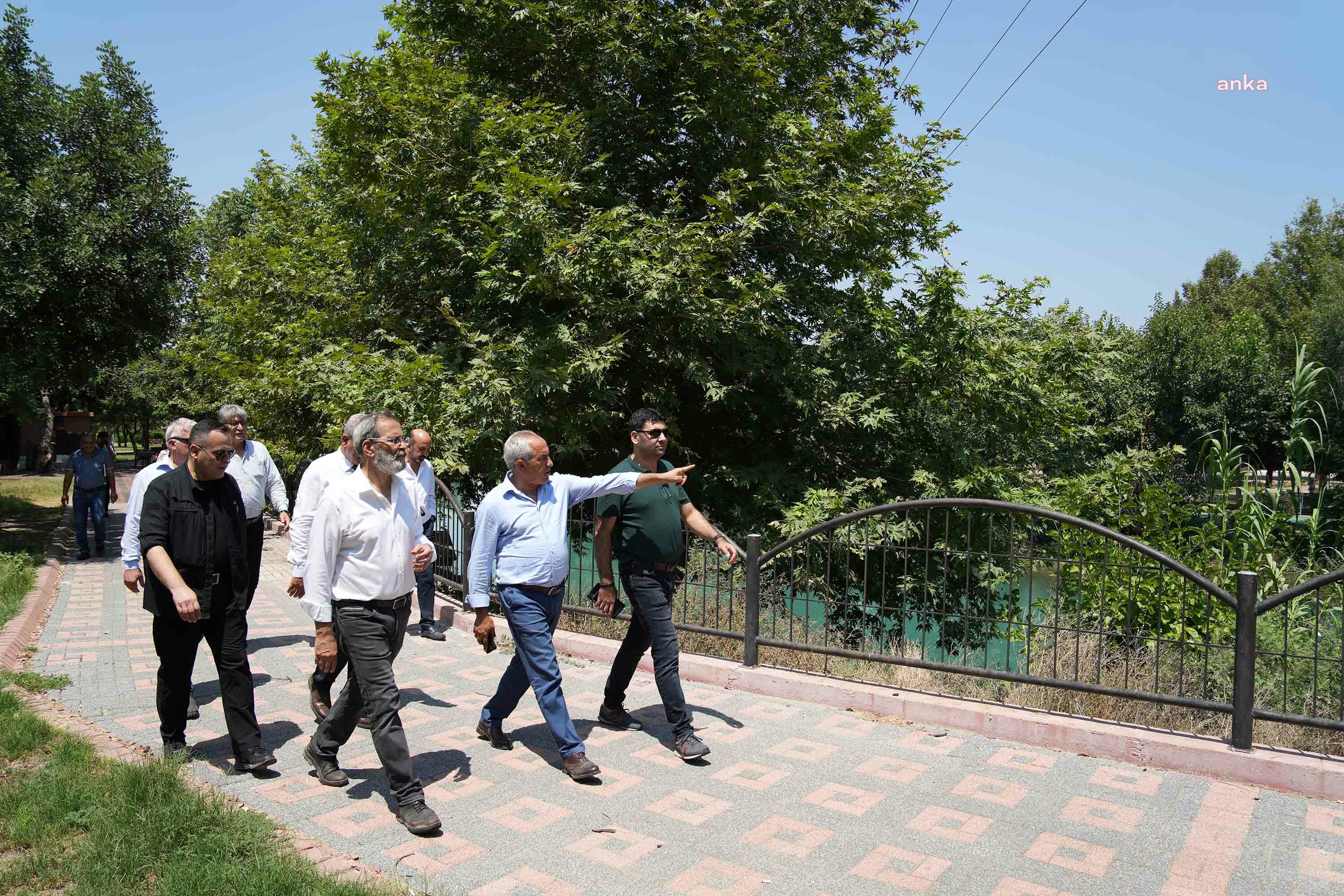 TARSUS BELEDİYESİ ‘ZEYTİN GEN KORUMA ALANI’ AÇMAYA HAZIRLANIYOR