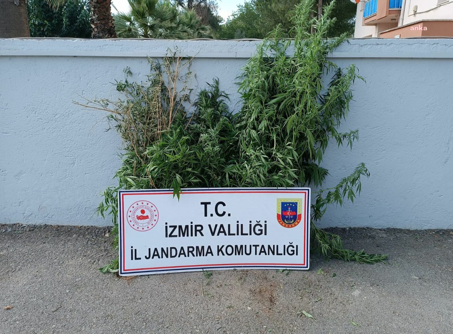 İZMİR'DE UYUŞTURUCU OPERASYONLARI: 3 KİŞİ TUTUKLANDI