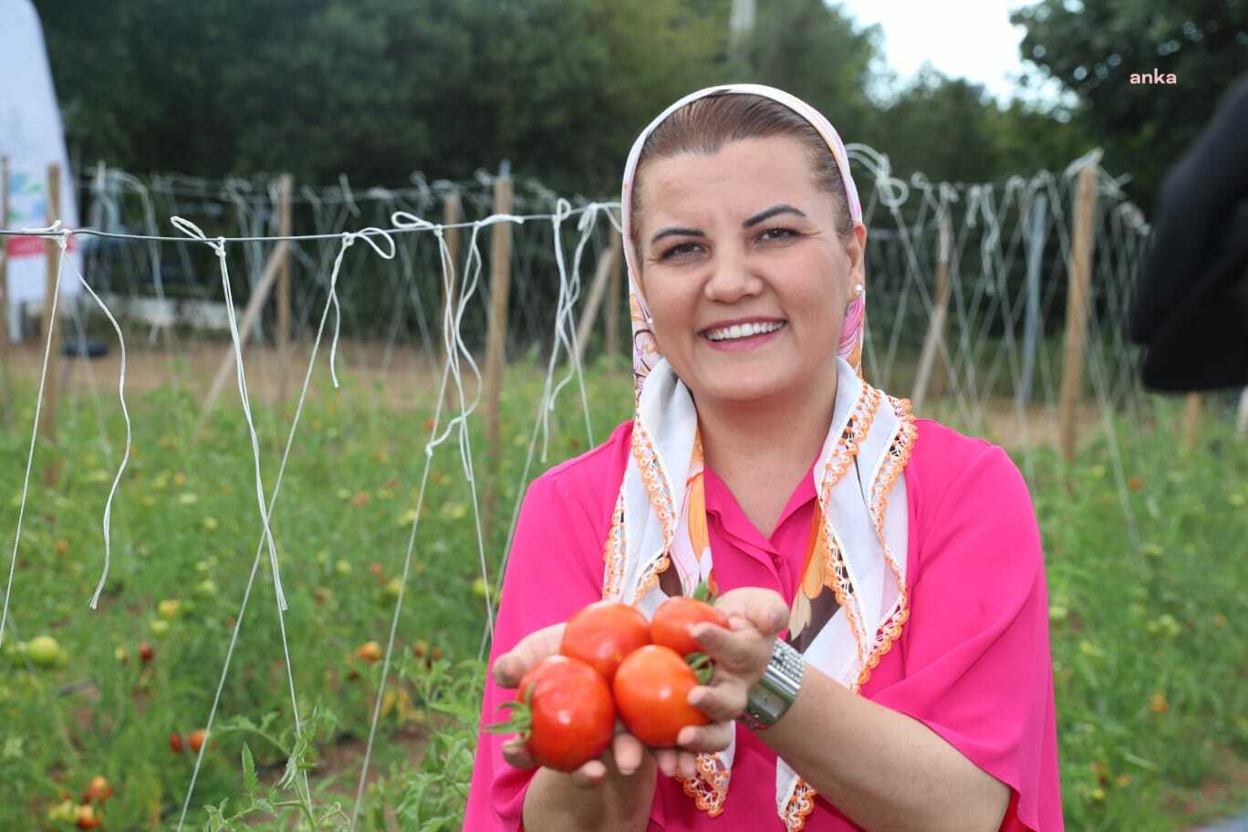 İZMİT BELEDİYESİ, EKİLEN SEBZELERİ HASAT ŞENLİĞİ’NDE TOPLADI