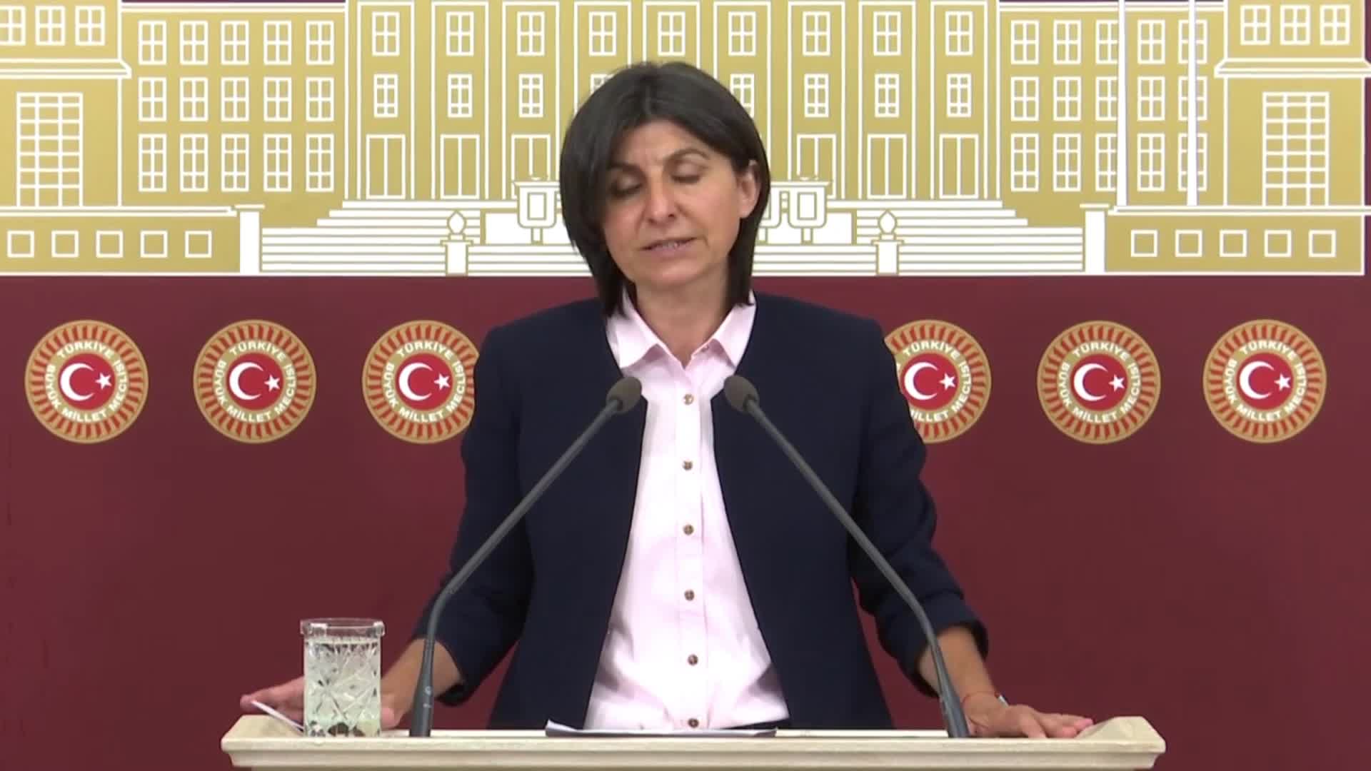 SİBEL ÖZDEMİR: "VİZE BAŞVURULARI İLE İLGİLİ UYGULANACAK POLİTİKA MÜTEKABİLİYET İLKESİNE UYGUN OLMALI"