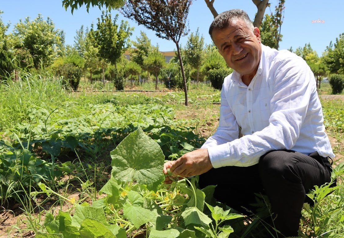 REYHANLI BELEDİYESİ KENT ORMANI İLK MEYVELERİNİ VERDİ