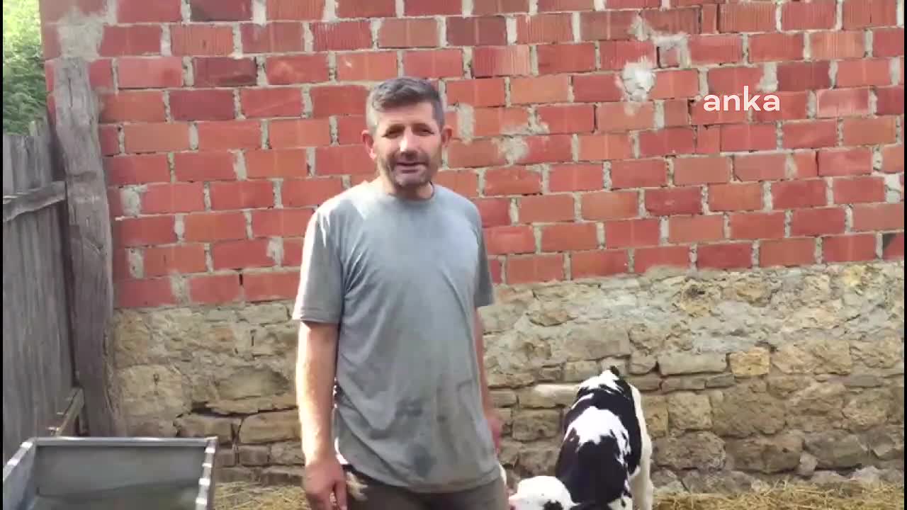 TARIM VE ORMAN BAKANLIĞI, HAYVANCILIK DESTEĞİNDE BESİCİLERİ MAĞDUR EDEN 450 GÜN ŞARTINI 600 GÜNE ÇIKARDI