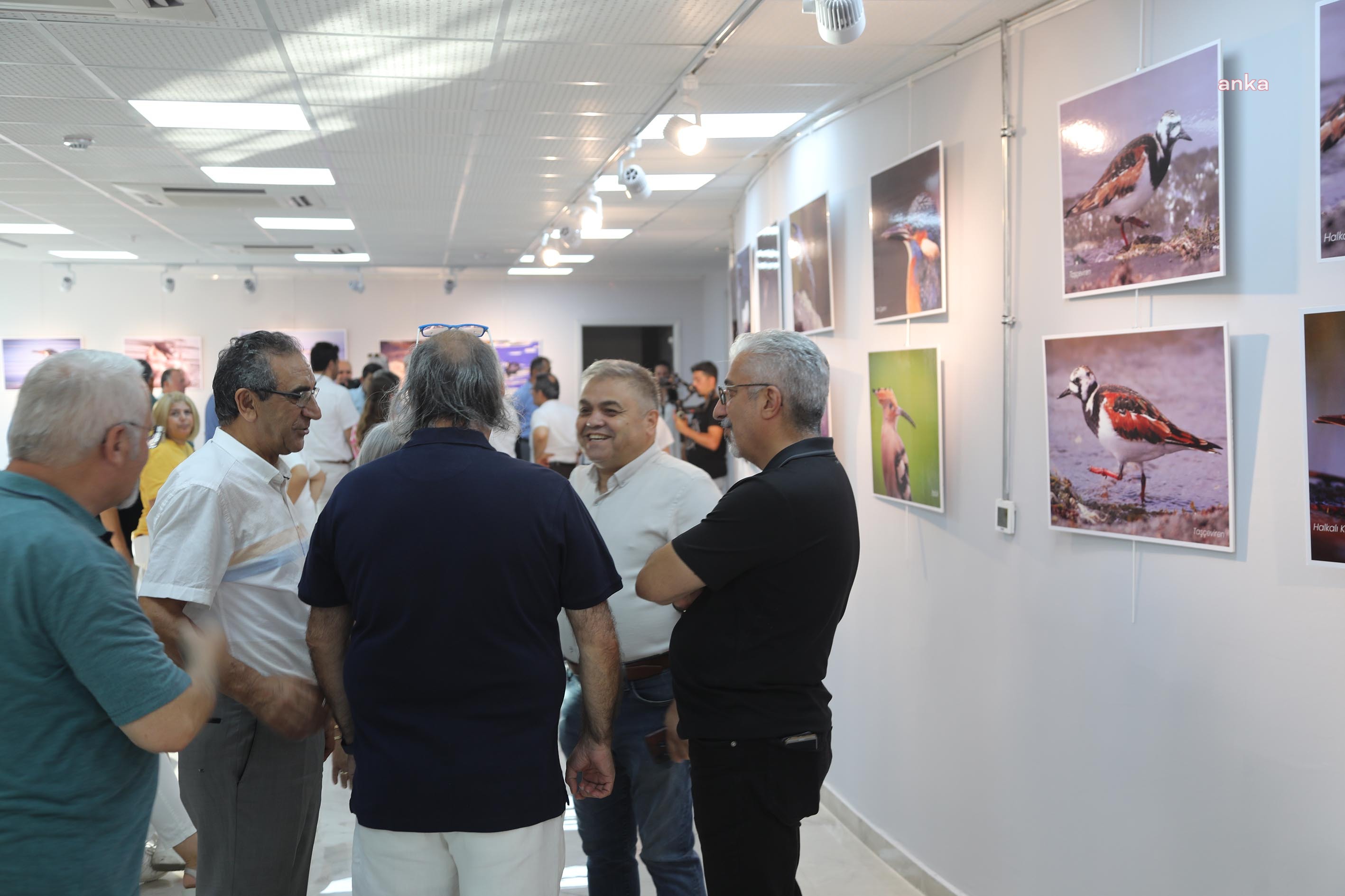 ATAKUM BELEDİYESİ'NDEN NESLİ TÜKENEN KUŞLAR İÇİN FOTOĞRAF SERGİSİ