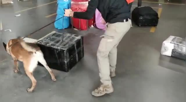 EKMEK DİLİMLEME MAKİNESİNDEN 75 BİN ADET UYUŞTURUCU HAP ÇIKTI