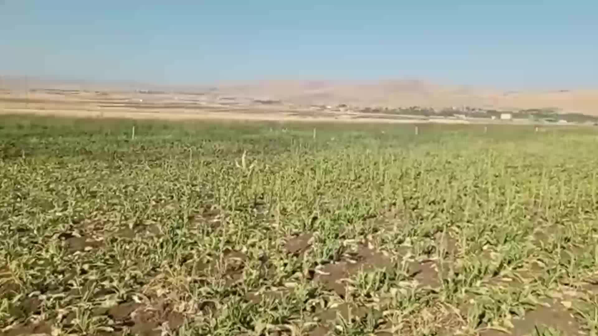 ELAZIĞ KARAKOÇAN VE KOVANCILAR’DA ÇİFTÇİLER, SU BORULARININ SIK SIK PATLAMASINDAN ŞİKAYET ETTİ