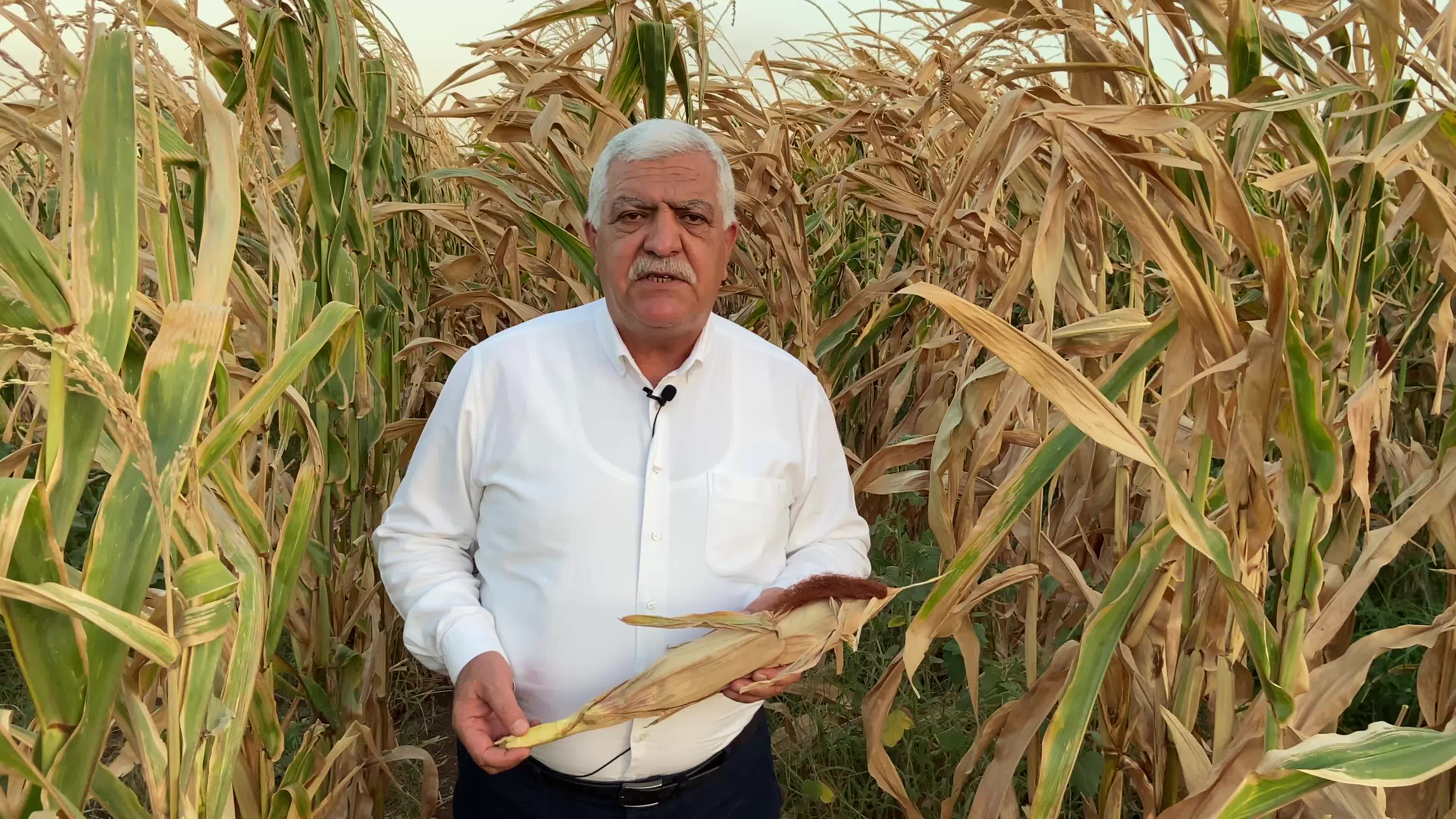 İSMET TOKDEMİR: MISIR FİYATININ EN AZ 7 LİRA VE ÜSTÜ OLMASI GEREKİYOR Kİ ÇİFTÇİ TARIMA DEVAM ETSİN