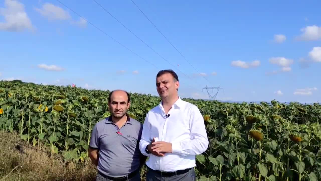 CHP SAMSUN İL BAŞKANI FATİH TÜRKEL: “3 YILDIR HASAT BİTİYOR, BİTTİKTEN SONRA AYÇİÇEK FİYATI AÇIKLANIYOR”