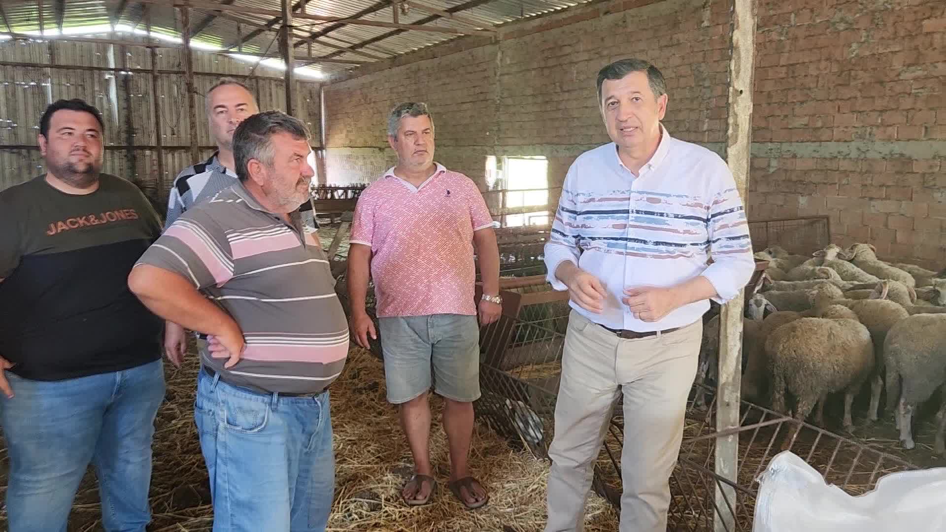 OKAN GAYTANCIOĞLU: ‘KUZU, KOYUN FİYATLARINI İNDİRDİK’ DEMEKLE OLMUYOR. BESİCİNİN YANINDA OLMAK LAZIM