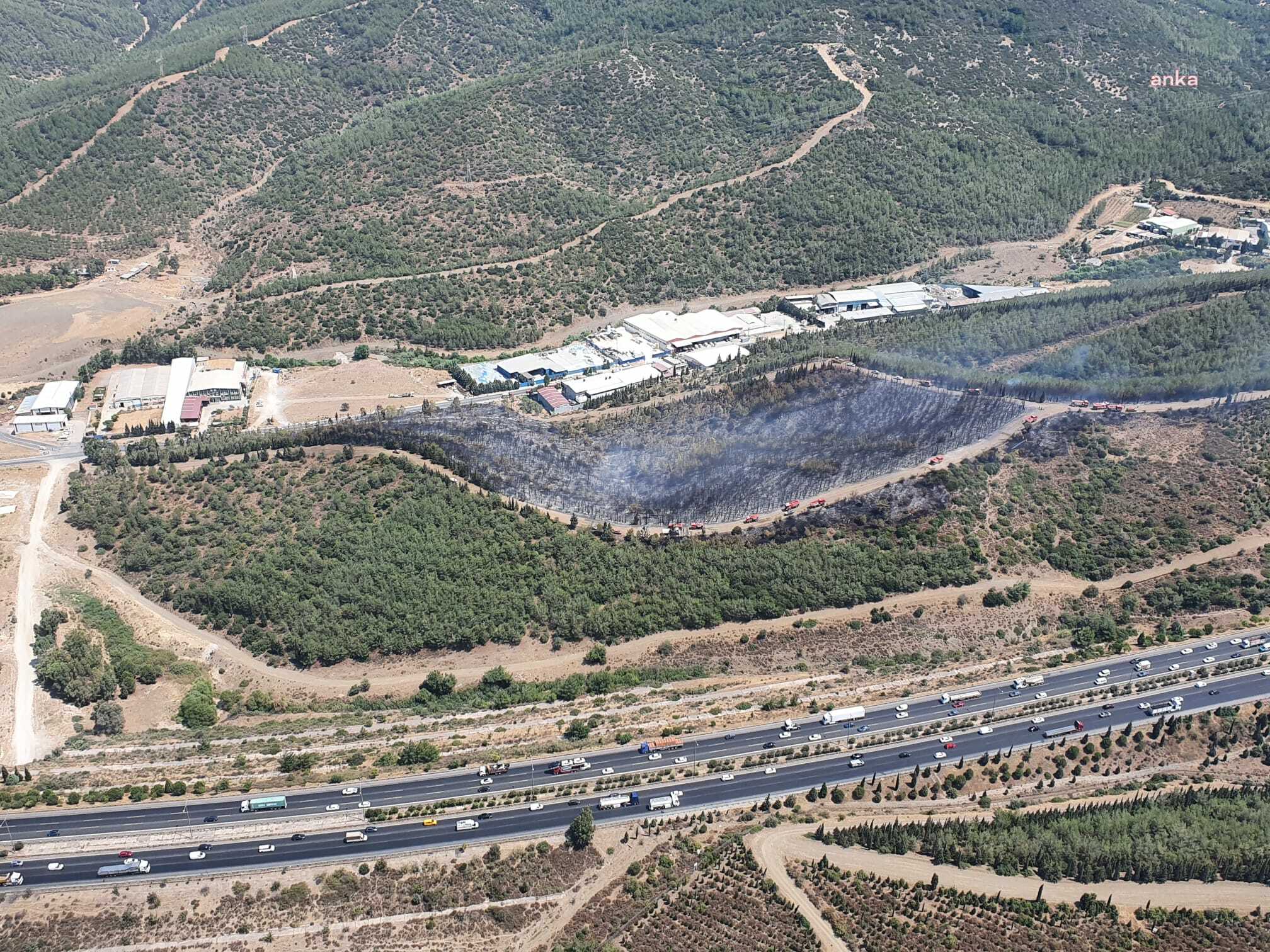 BORNOVA'DAKİ ORMAN YANGINI KONTROL ALTINA ALINDI