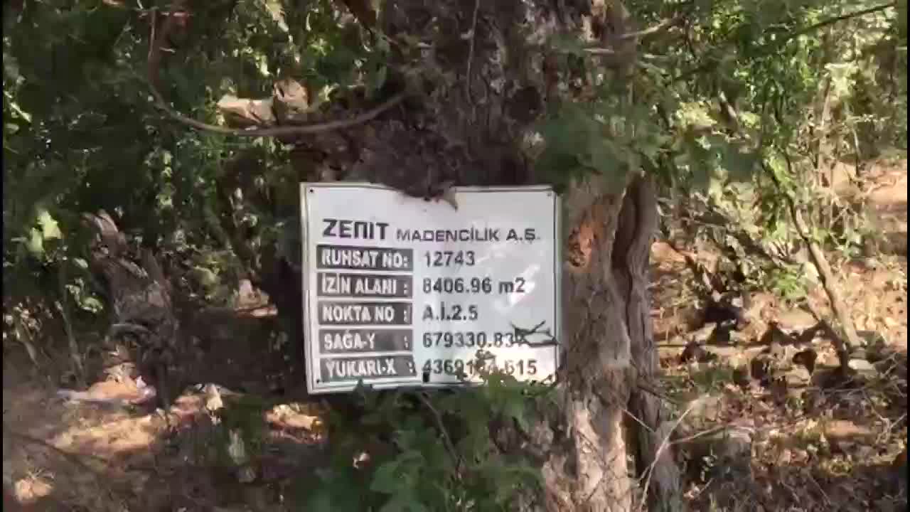 KÜTAHYA'DA ALTIN MADENİ İÇİN YÜZLERCE AĞACI KESTİLER