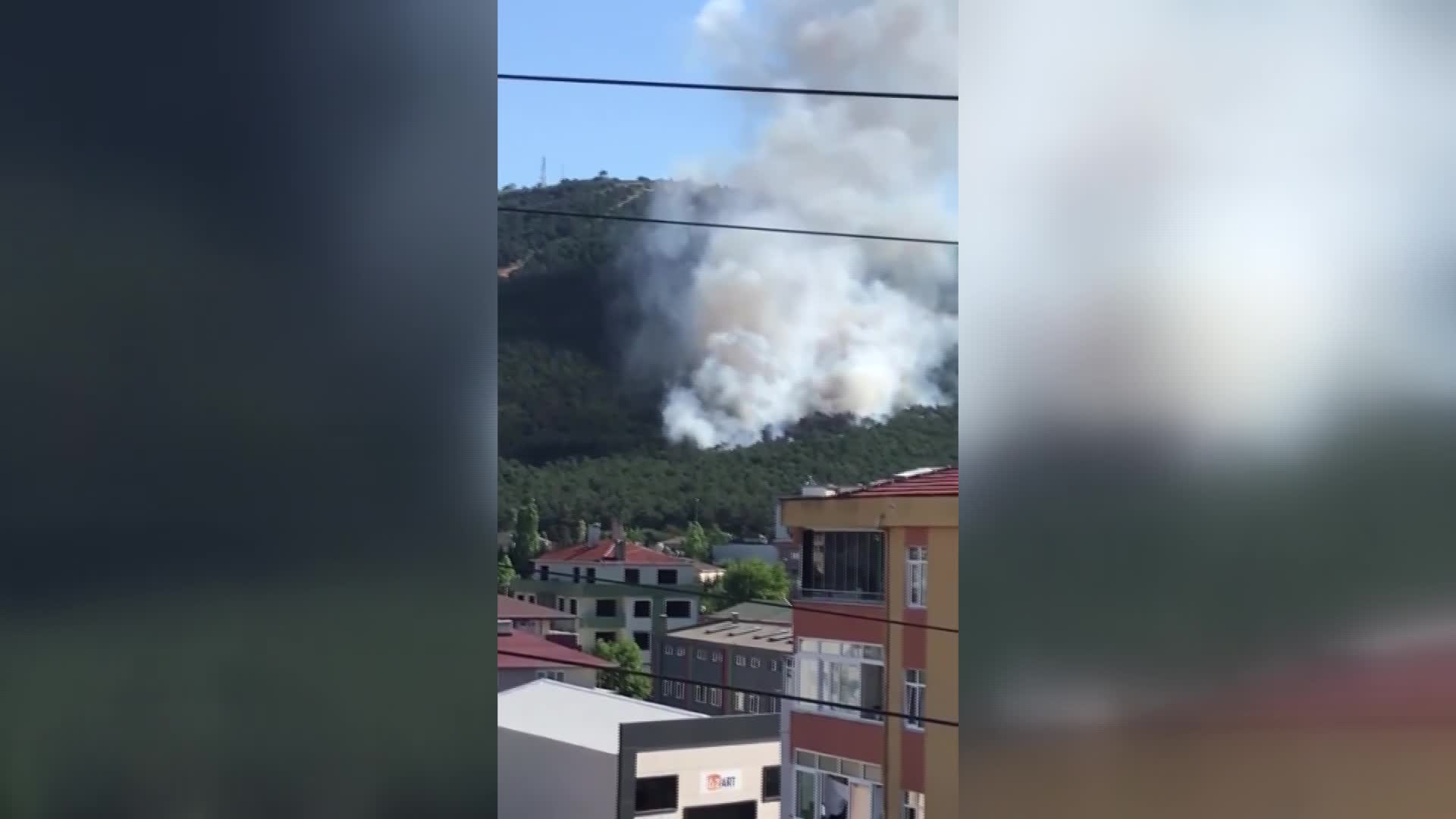 KAYIŞDAĞI'NDA ORMAN YANGINI