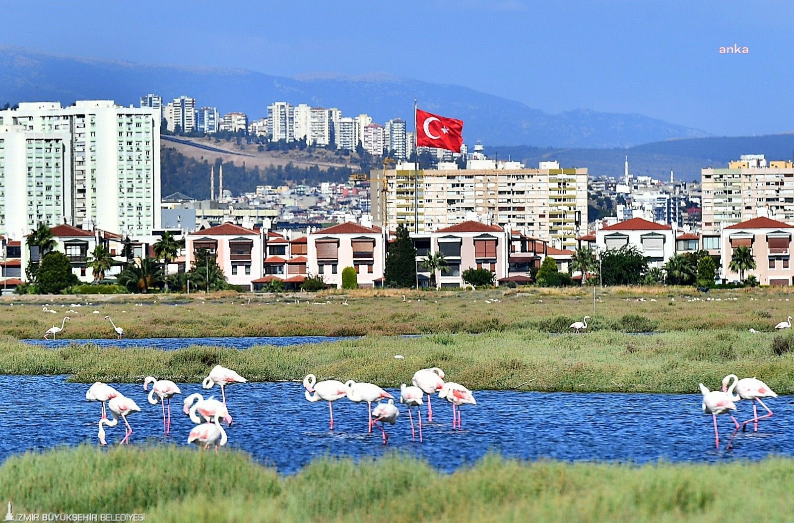 İZMİR'DE FLAMİNGO YOLU'NA YOĞUN İLGİ